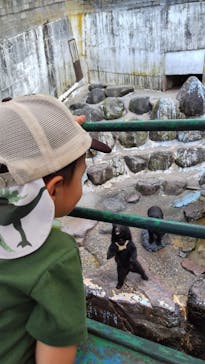 奥飛騨クマ牧場に投稿された画像（2024/8/8）