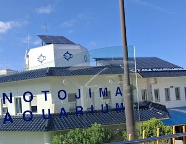 のとじま水族館に投稿された画像（2024/8/8）