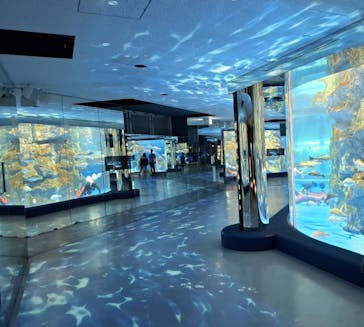 のとじま水族館に投稿された画像（2024/8/8）