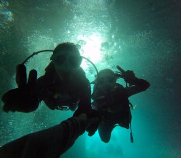 沖縄マリンサービス碧に投稿された画像（2024/8/8）