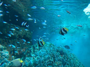 サンシャイン水族館に投稿された画像（2024/8/8）