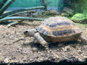 サンシャイン水族館に投稿された画像（2024/8/8）