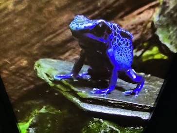 サンシャイン水族館に投稿された画像（2024/8/8）