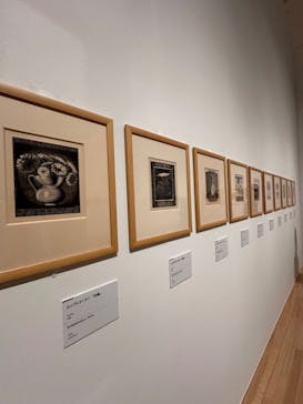 豊田市美術館に投稿された画像（2024/8/8）