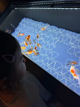 すみだ水族館に投稿された画像（2024/8/8）