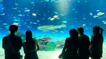 サンシャイン水族館に投稿された画像（2024/8/8）