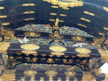 元離宮二条城に投稿された画像（2024/8/8）