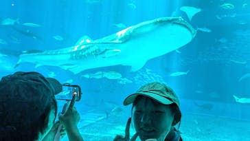 沖縄美ら海水族館に投稿された画像（2024/8/8）