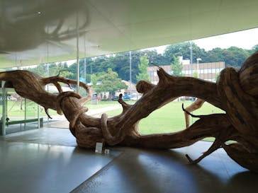 金沢21世紀美術館に投稿された画像（2024/8/8）