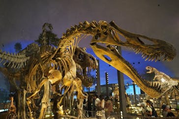 福井県立恐竜博物館に投稿された画像（2024/8/8）