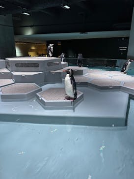 AOAO SAPPOROに投稿された画像（2024/8/8）