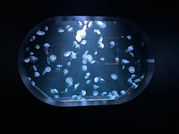 AOAO SAPPOROに投稿された画像（2024/8/8）