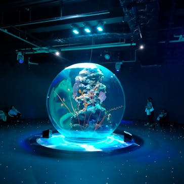 AQUARIUM × ART　atoa×felissimo chocolate museum（フェリシモ チョコレート ミュージアム）に投稿された画像（2024/8/8）