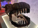 巨大恐竜展2024に投稿された画像（2024/8/8）