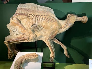 巨大恐竜展2024に投稿された画像（2024/8/8）