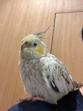 Moff animal cafe MARKIS 福岡ももち店に投稿された画像（2024/8/8）