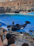 名古屋港水族館に投稿された画像（2024/8/8）