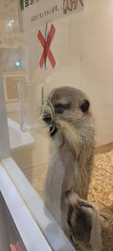 アニタッチららぽーと名古屋みなとアクルスに投稿された画像（2024/8/8）