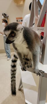 アニタッチららぽーと名古屋みなとアクルスに投稿された画像（2024/8/8）