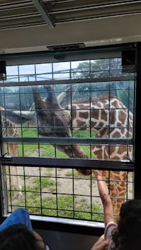 那須サファリパークに投稿された画像（2024/8/8）