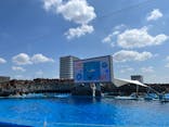 名古屋港水族館に投稿された画像（2024/8/8）