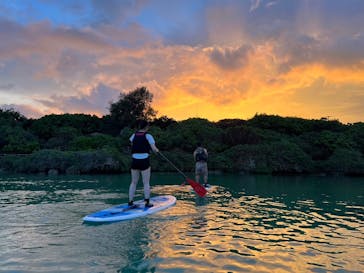 宮古島 ADVENTURE PiPi（ミヤコジマ アドベンチャー ピピ）に投稿された画像（2024/8/8）