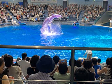 マクセル アクアパーク品川に投稿された画像（2024/8/8）