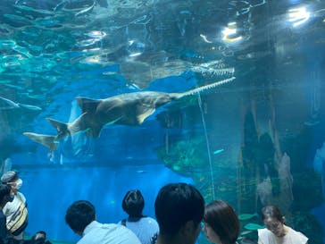 マクセル アクアパーク品川に投稿された画像（2024/8/8）