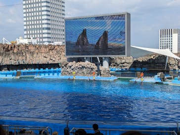 名古屋港水族館に投稿された画像（2024/8/8）