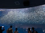 名古屋港水族館に投稿された画像（2024/8/9）