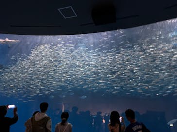 名古屋港水族館に投稿された画像（2024/8/8）