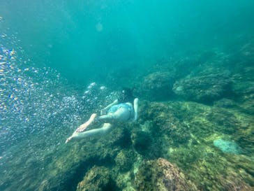 HADASHIに投稿された画像（2024/8/9）