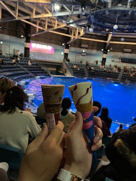 マクセル アクアパーク品川に投稿された画像（2024/8/9）