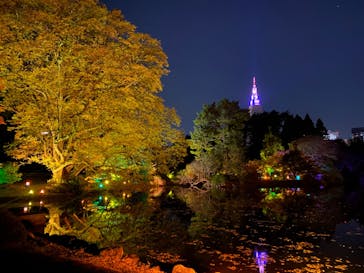 NAKED 紅葉の新宿御苑2023に投稿された画像（2024/8/9）