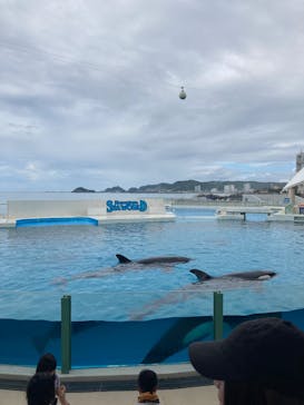 鴨川シーワールドに投稿された画像（2024/8/9）