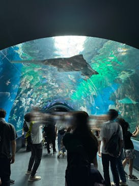 マクセル アクアパーク品川に投稿された画像（2024/8/9）