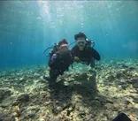 武藤潜水に投稿された画像（2024/8/9）