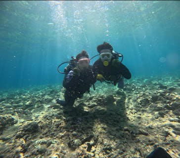 武藤潜水に投稿された画像（2024/8/9）