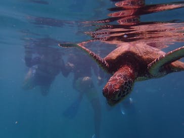 nico 宮古島に投稿された画像（2024/8/9）