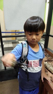 JOYPOLIS 特別イベントスペースに投稿された画像（2024/8/9）