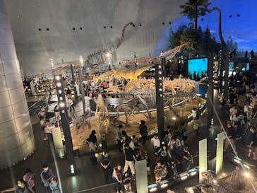 福井県立恐竜博物館に投稿された画像（2024/8/9）