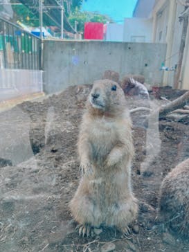 日立市かみね動物園に投稿された画像（2024/8/9）