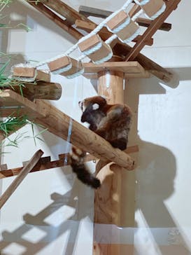 日立市かみね動物園に投稿された画像（2024/8/9）