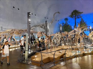 福井県立恐竜博物館に投稿された画像（2024/8/9）