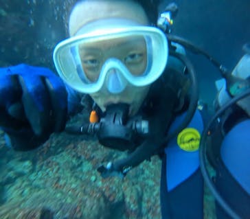 武藤潜水に投稿された画像（2024/8/9）