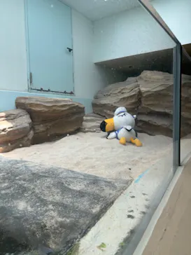 仙台うみの杜水族館に投稿された画像（2024/8/9）