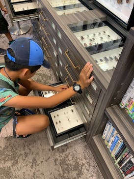 滋賀県立琵琶湖博物館に投稿された画像（2024/8/9）