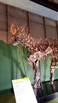 巨大恐竜展2024に投稿された画像（2024/8/9）