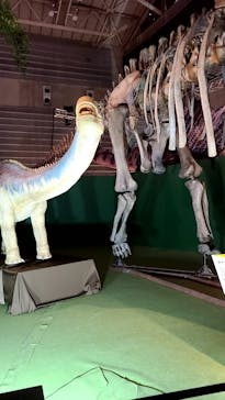 巨大恐竜展2024に投稿された画像（2024/8/9）