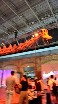 巨大恐竜展2024に投稿された画像（2024/8/9）